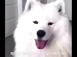 3401 doggystyle porn videos